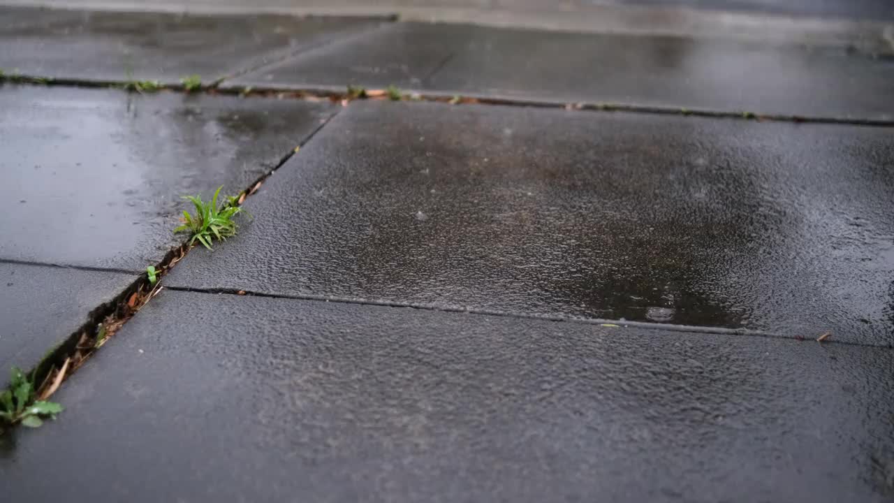 雨、雨和倒影视频素材