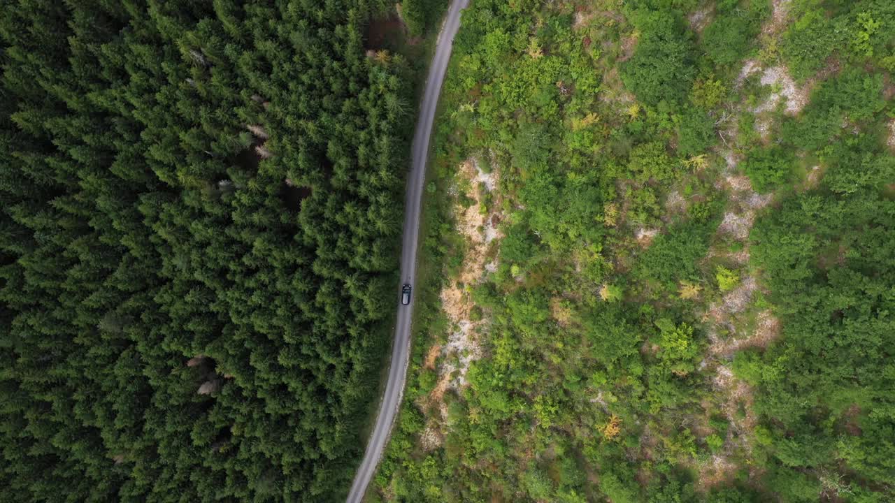 穿越森林的公路旅行视频素材