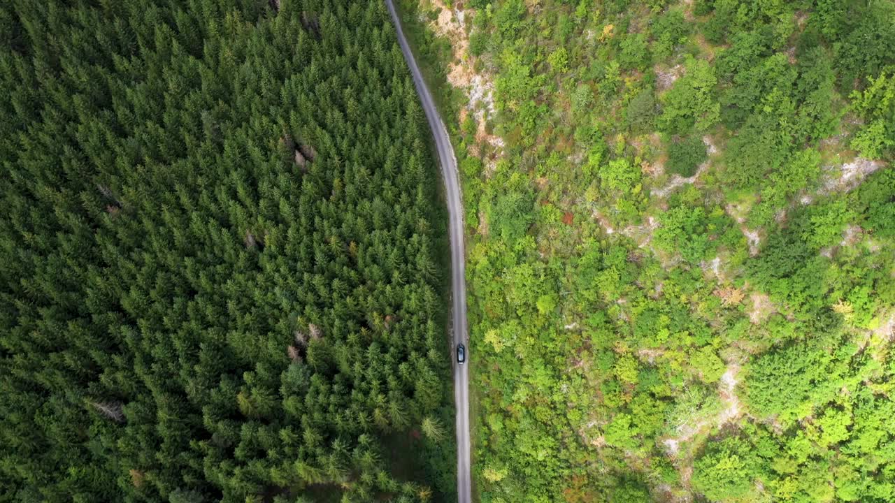 穿越森林的公路旅行视频素材