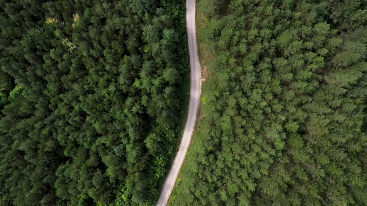 穿越森林的公路旅行视频素材