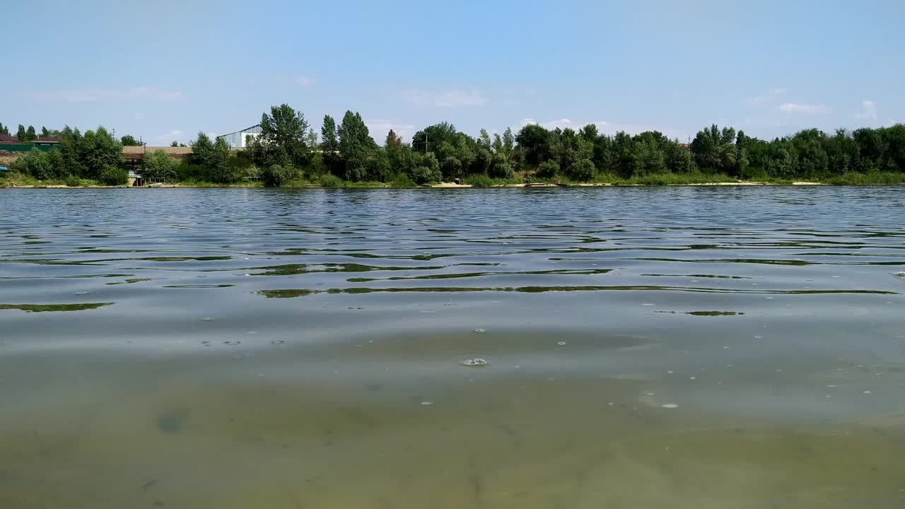 绿色的河水。夏末，河里的水长满了藻类。视频素材