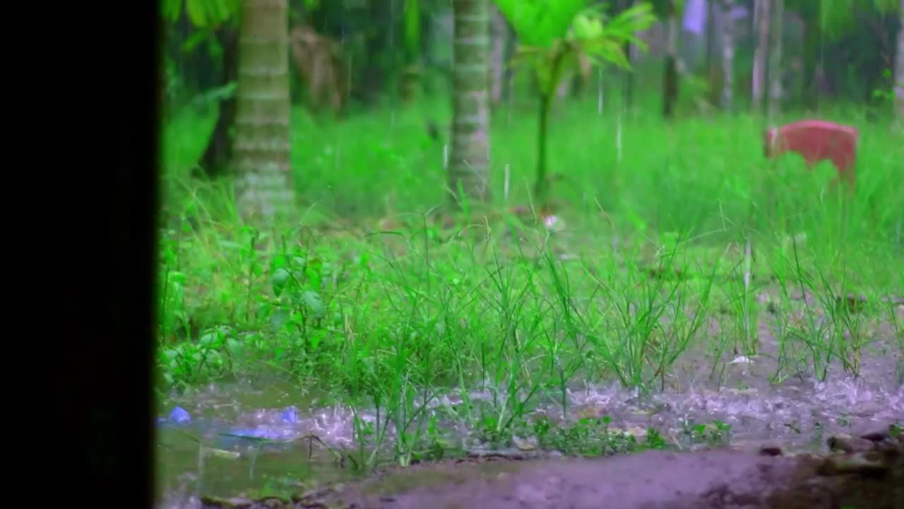 下午下了大雨，雨水落在水坑和小岩石的表面，造成飞溅的倒影视频素材