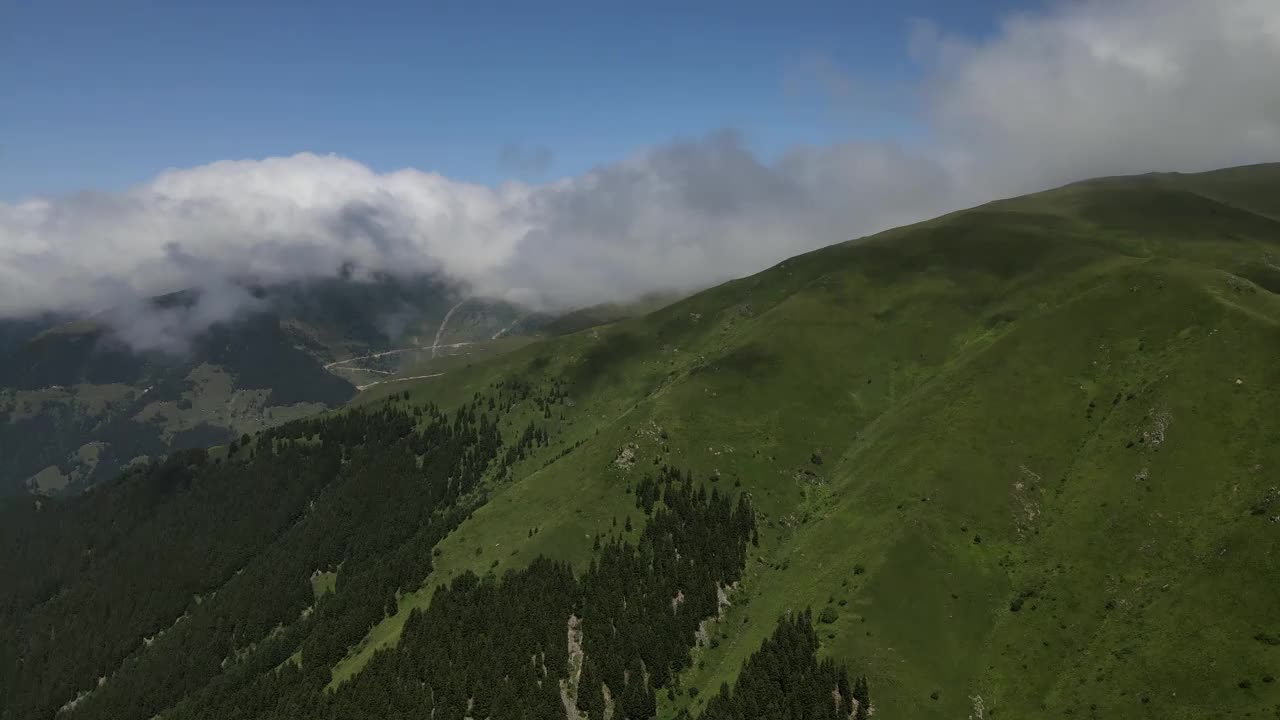 高山草甸视频素材