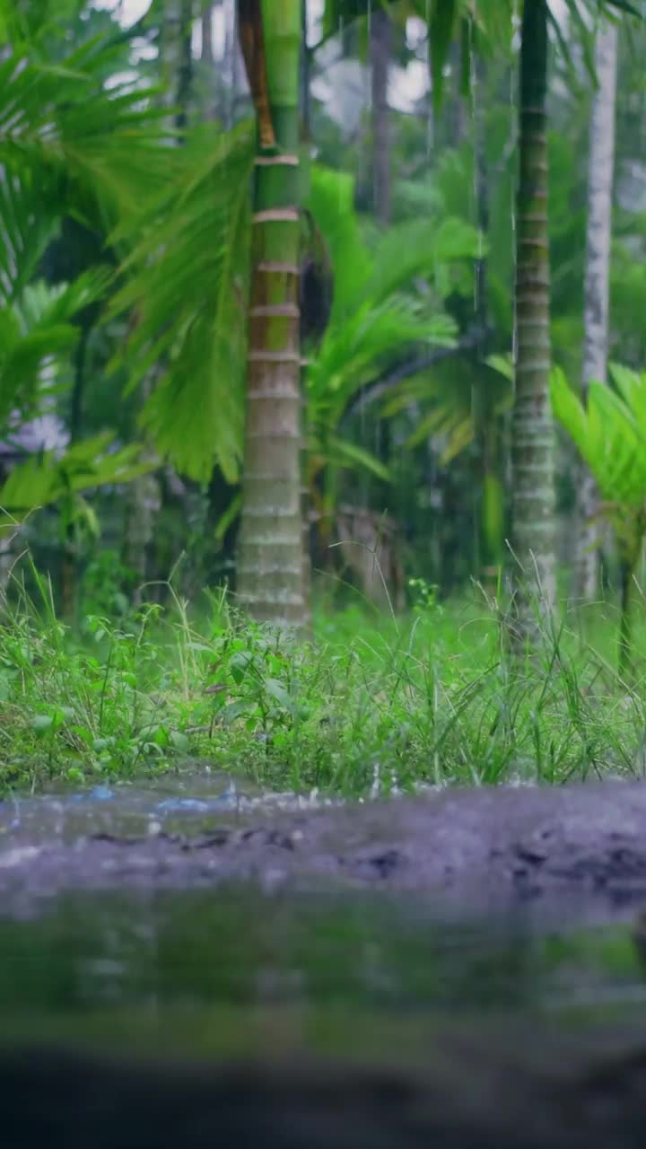 下午下了大雨，雨水落在水坑和小岩石的表面，造成飞溅的倒影视频下载