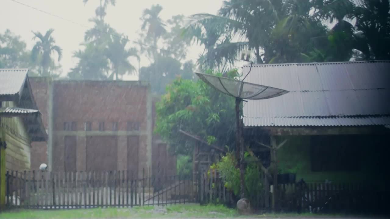 以树木为背景的美丽乡村道路上的大雨景象视频素材