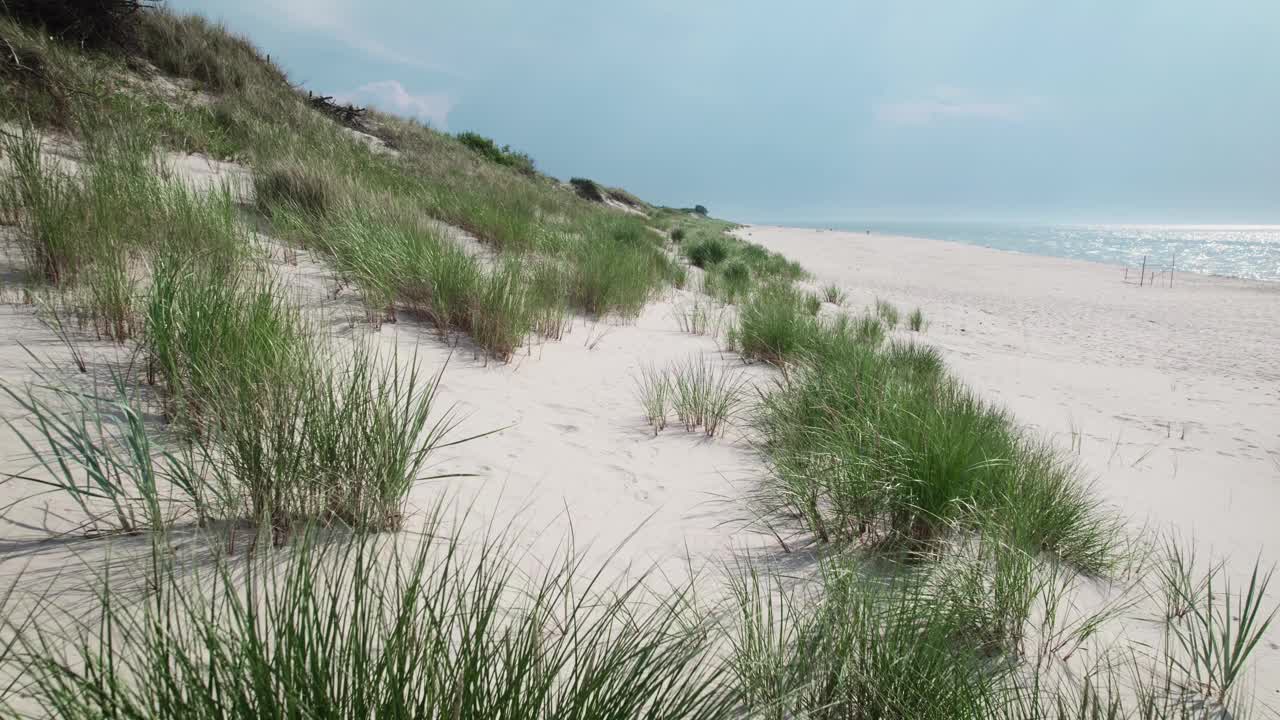 鸟瞰图。波罗的海沿岸风景如画。夏日和荒凉的海滩视频素材