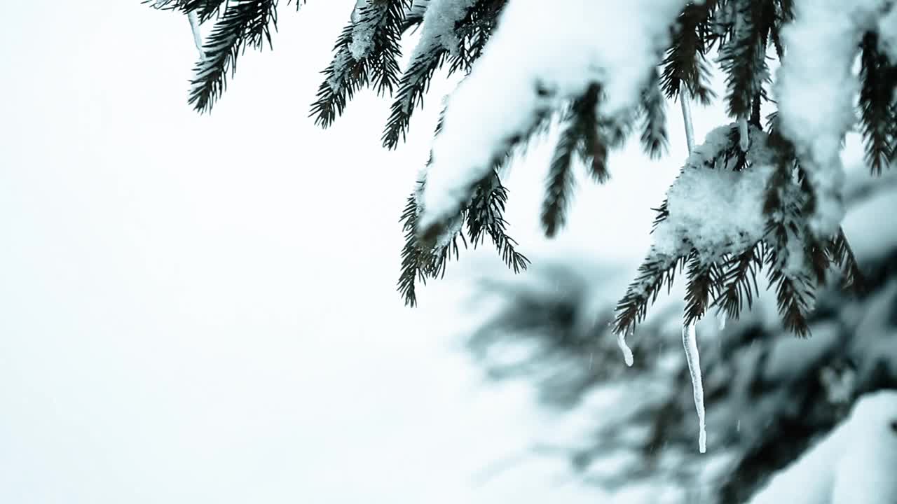 冰雪覆盖的树木构成了美丽的冬季景观。冬天的山。视频素材