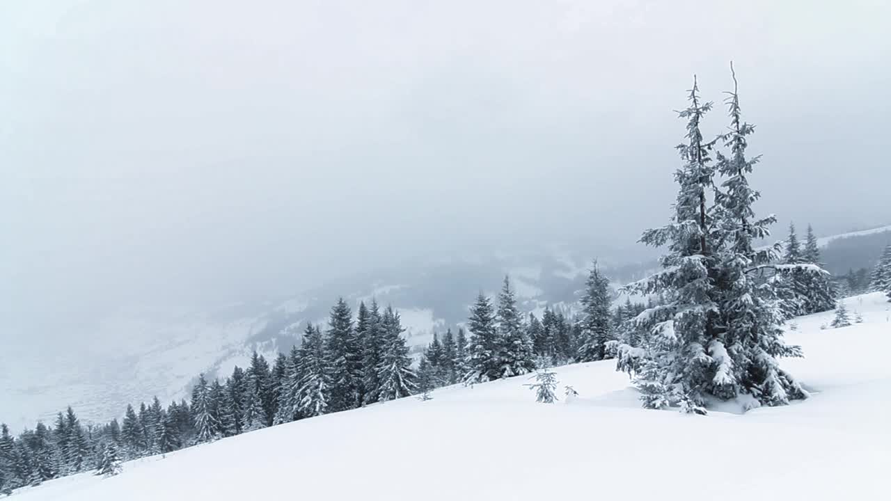 冰雪覆盖的树木构成了美丽的冬季景观。冬天的山。视频素材