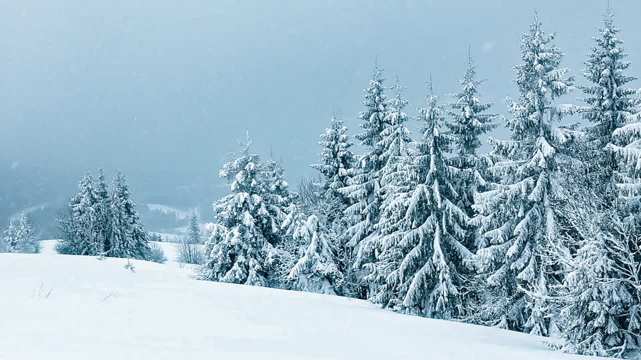 冰雪覆盖的树木构成了美丽的冬季景观。冬天的山。视频素材