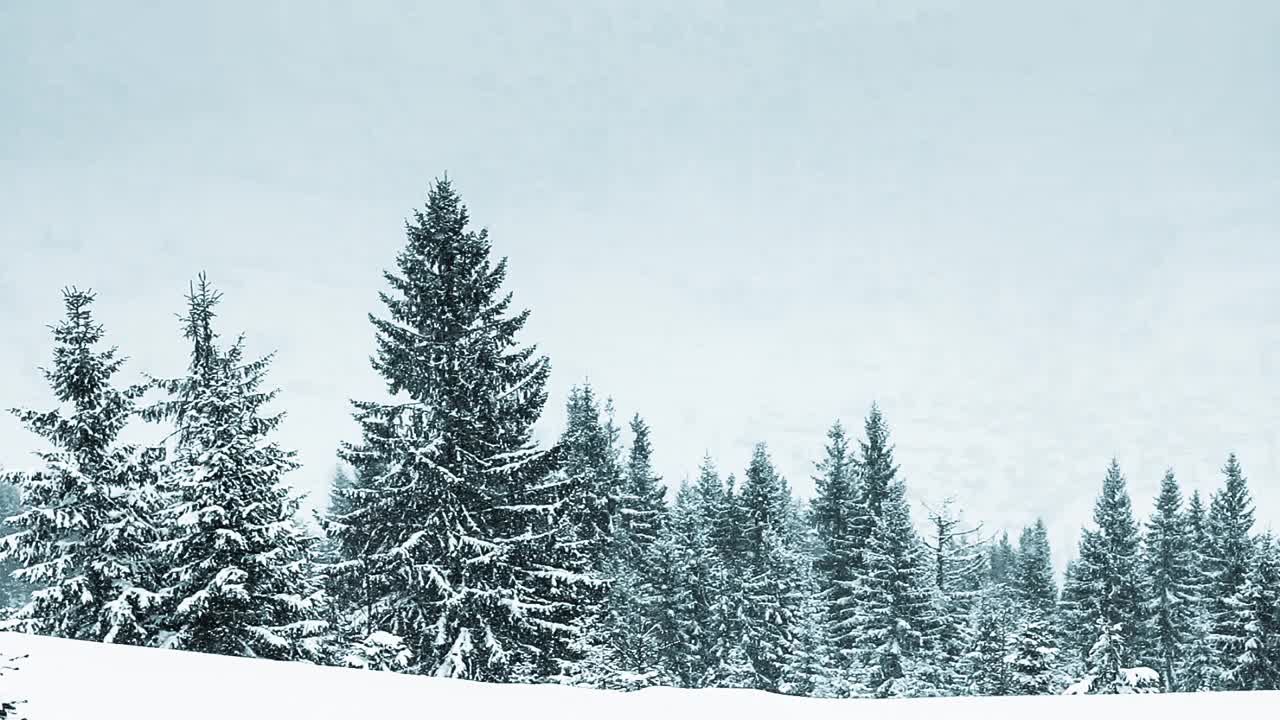 冰雪覆盖的树木构成了美丽的冬季景观。冬天的山。视频素材