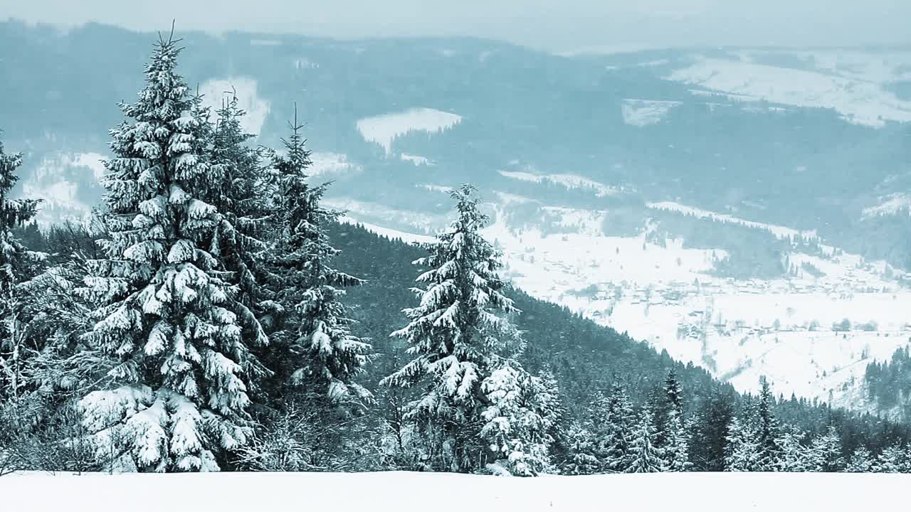 冰雪覆盖的树木构成了美丽的冬季景观。冬天的山。视频素材