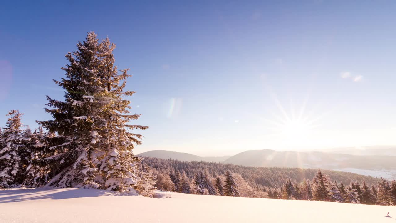 冬天的风景。日出。云杉森林被冰雪覆盖的冬季景观视频素材