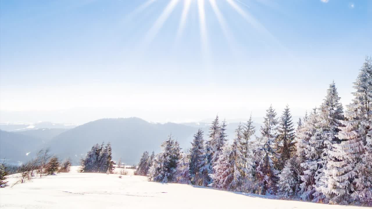 山冬季景观。云杉森林被冰雪覆盖的冬季景观视频素材