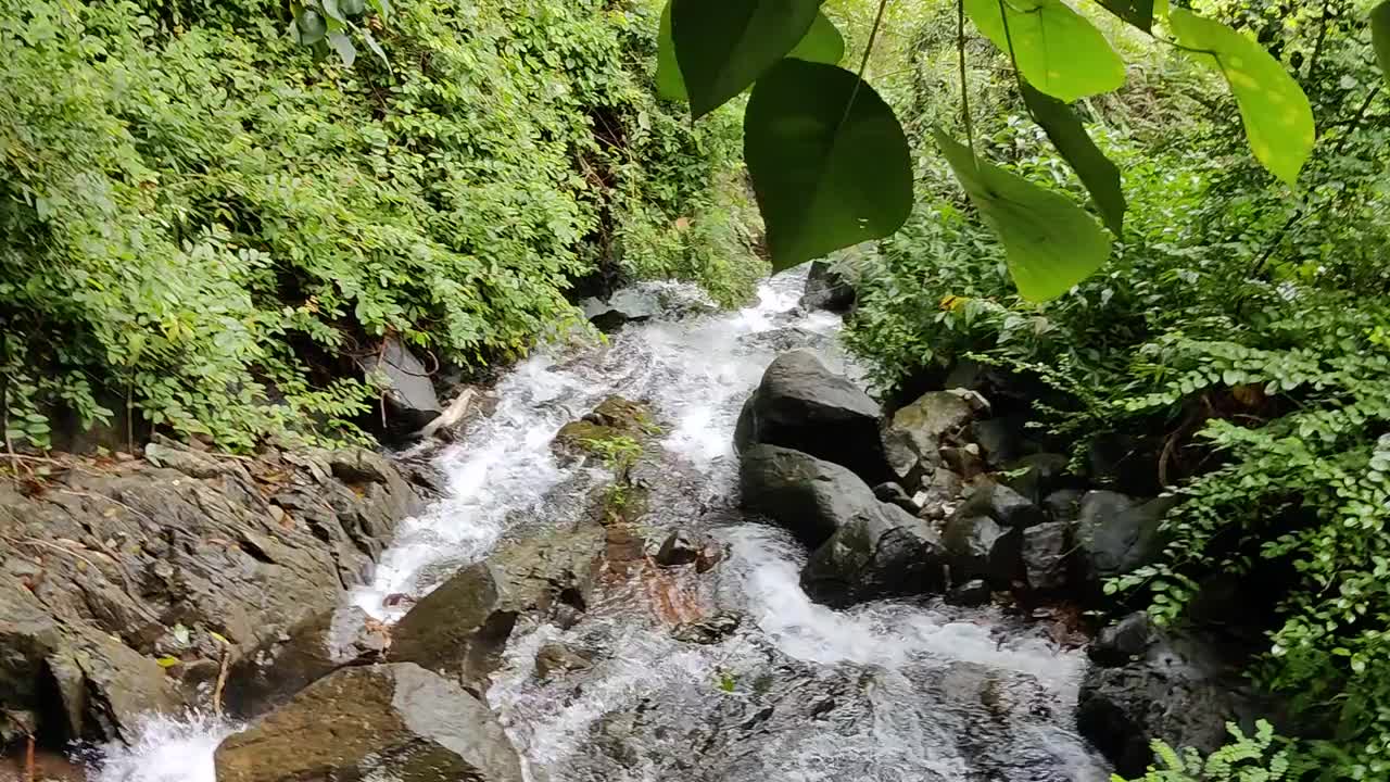 水从绿色旅游地印度之间的岩石中落下视频素材