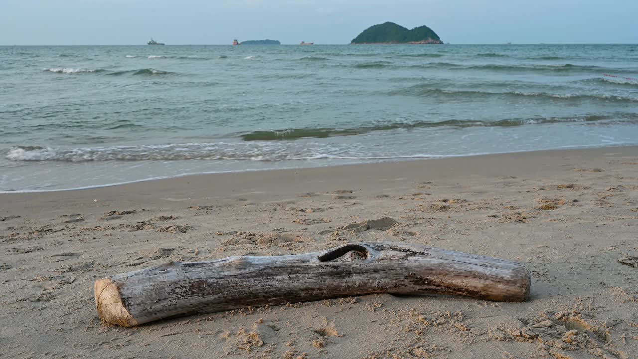 海滩上的老木材，波浪破碎，似乎愤怒而又平静，海天背景自然。视频素材