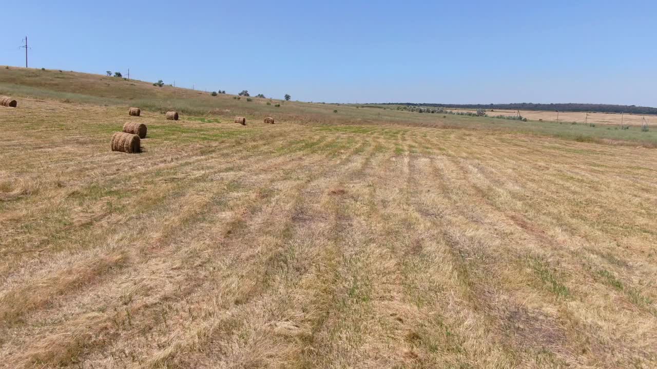 美丽的乡村景观与农业麦田的干草卷视频素材