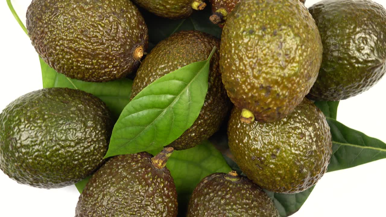 深绿色的牛油果和牛油果叶视频素材