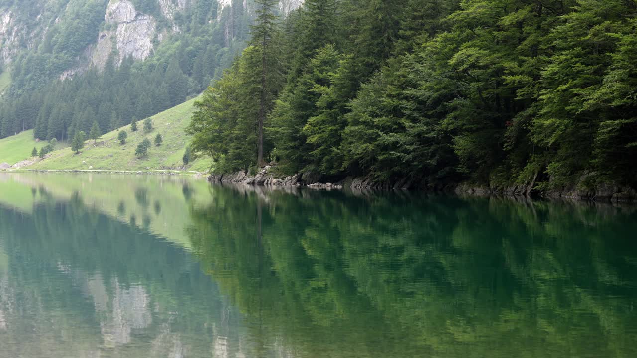 瑞士的Seealpsee湖，在没有人的白天，有绿松石水、冷杉森林和山脉的背景视频下载