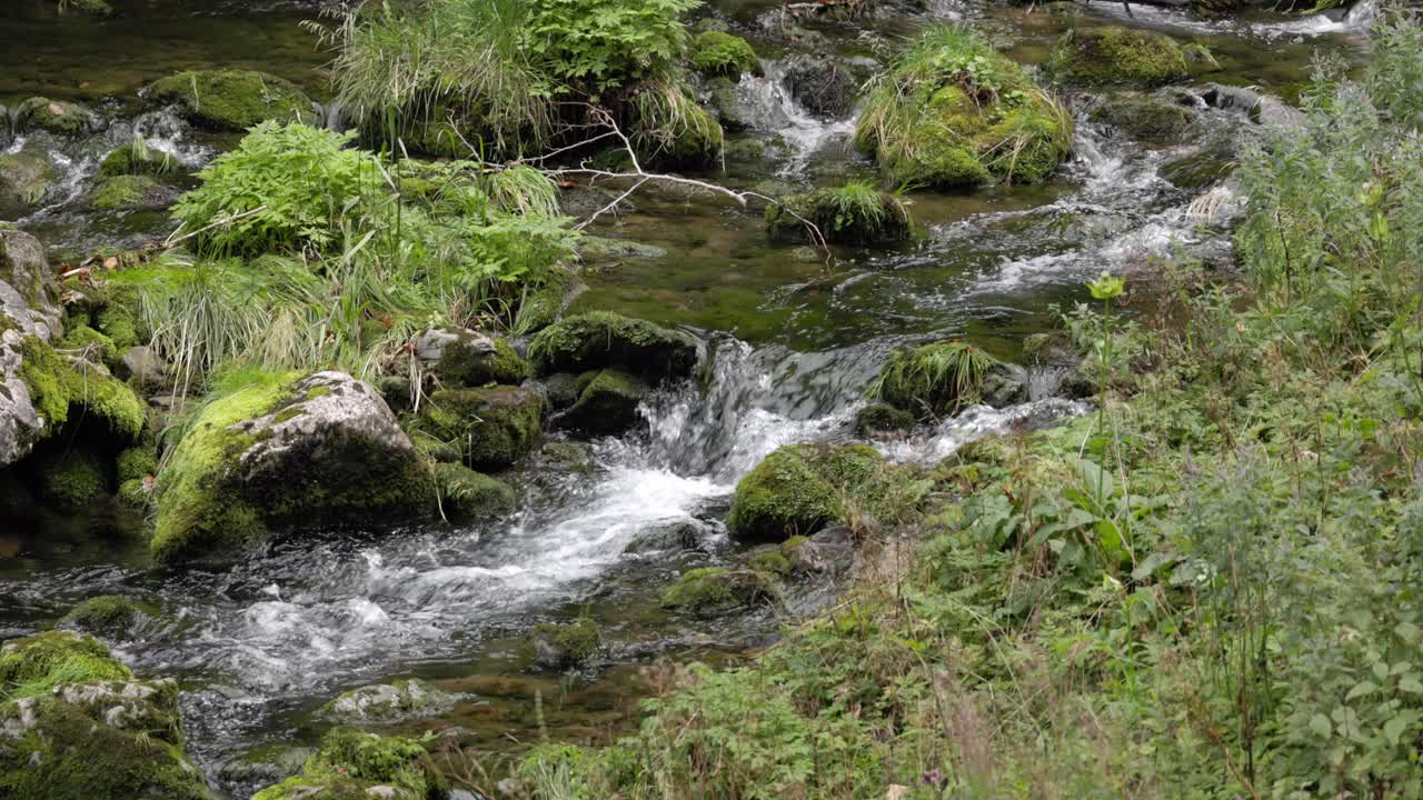 在瑞士山区的野生溪流，流动的水在多云的天空中缓慢运动视频素材