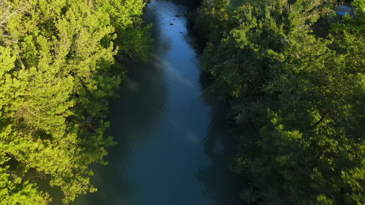 无人机在夏天河岸杂草丛生的河流上的观点视频素材