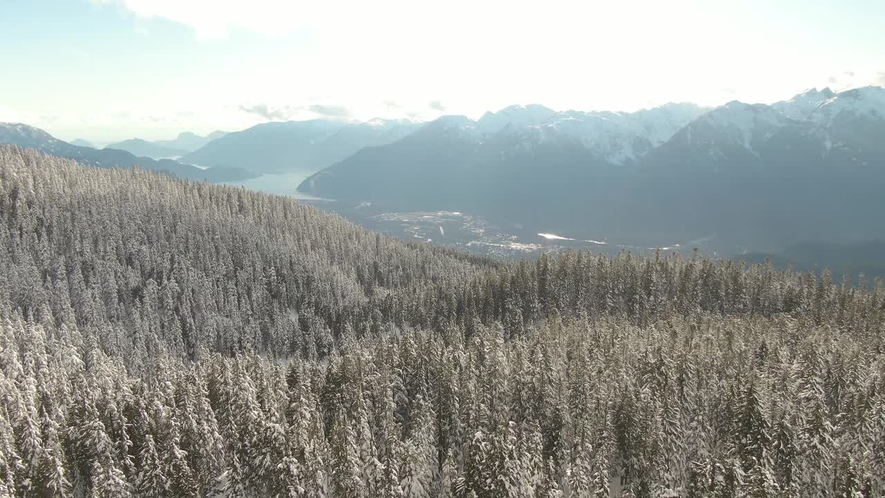 加拿大自然景观的鸟瞰图在积雪覆盖的山顶视频素材