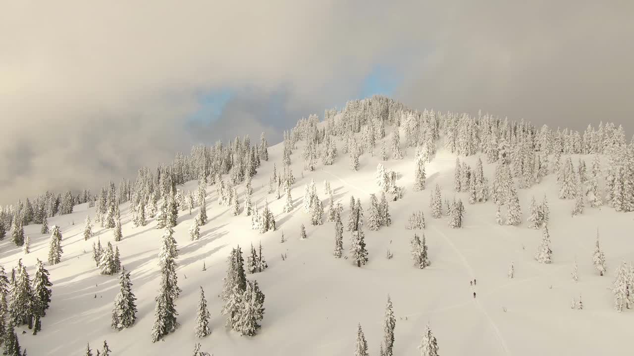 加拿大自然景观的鸟瞰图在积雪覆盖的山顶视频素材