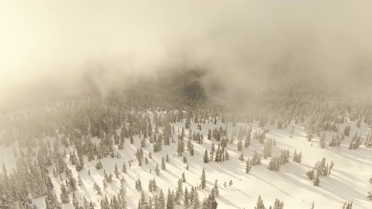 加拿大自然景观的鸟瞰图在积雪覆盖的山顶视频素材