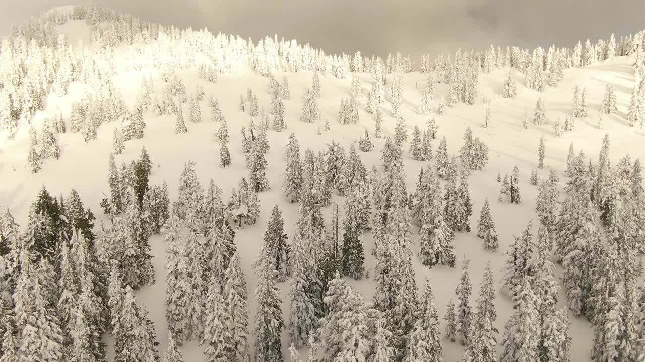 加拿大自然景观的鸟瞰图在积雪覆盖的山顶视频素材