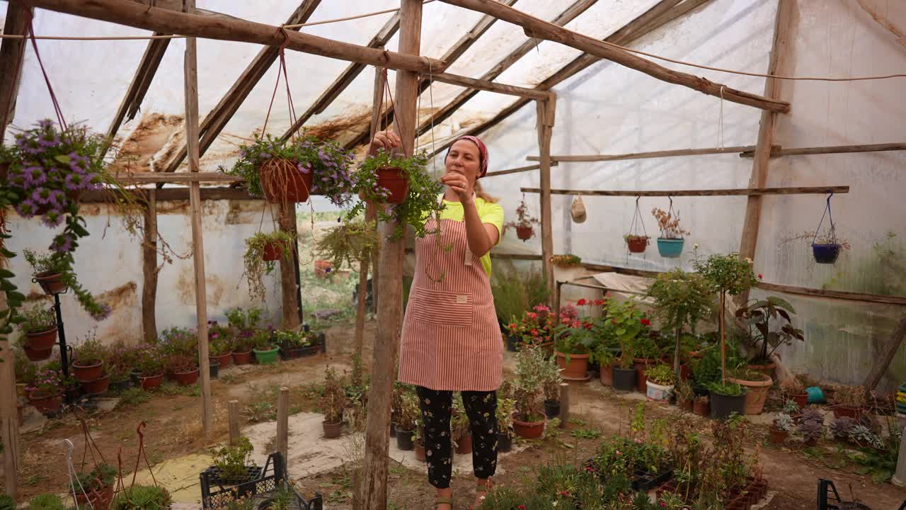 在温室里种花的女花匠视频素材