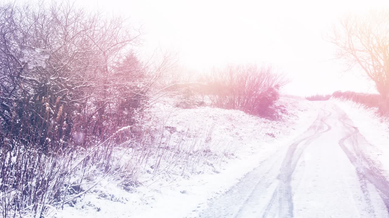 在冬季景观上，雪景覆盖的树木和道路上的光点视频素材