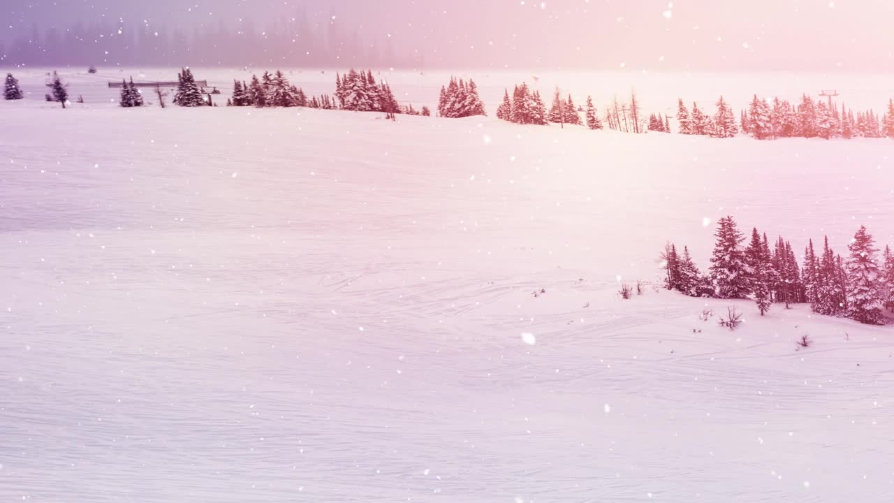 在冬天的景观上，在雪花飘落的多棵树上的光点视频素材