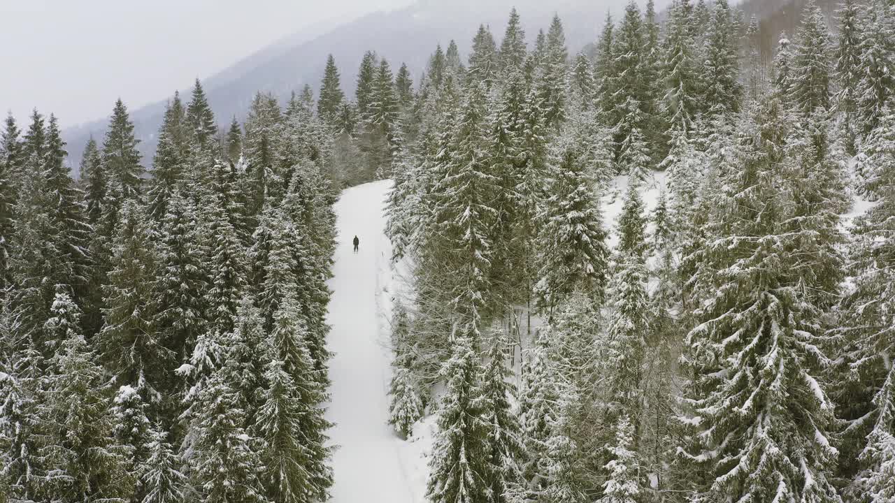 茂密的云杉森林覆盖着喀尔巴阡山脉的雪山和勇敢的滑雪者视频素材