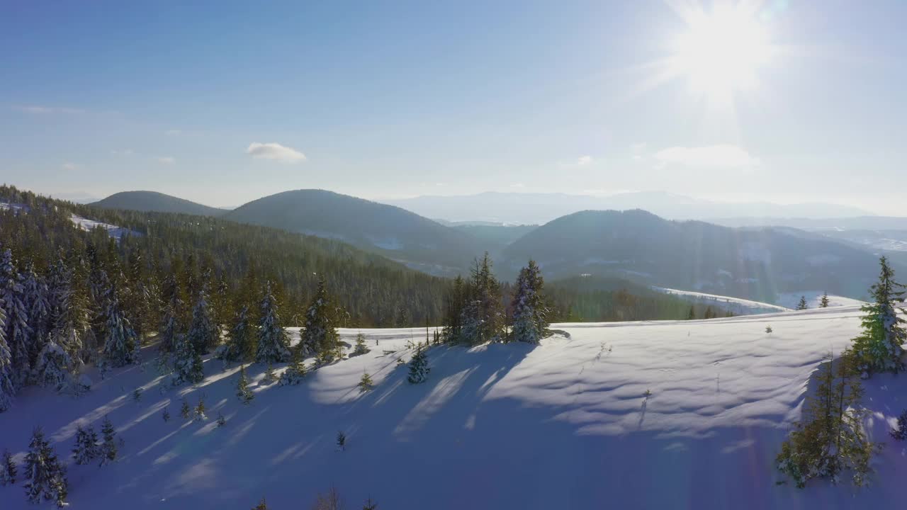 一小块被雪覆盖的空地上有许多滑雪道和一棵圣诞树，映衬着夜晚的天空视频素材