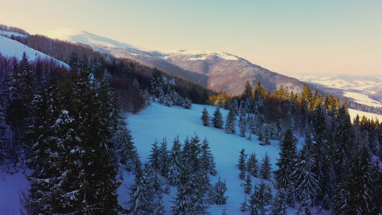 郁郁葱葱的圣诞树和白雪覆盖的山坡上有一个滑雪的地方视频素材