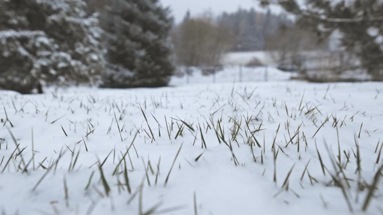 被雪覆盖的后花园视频素材