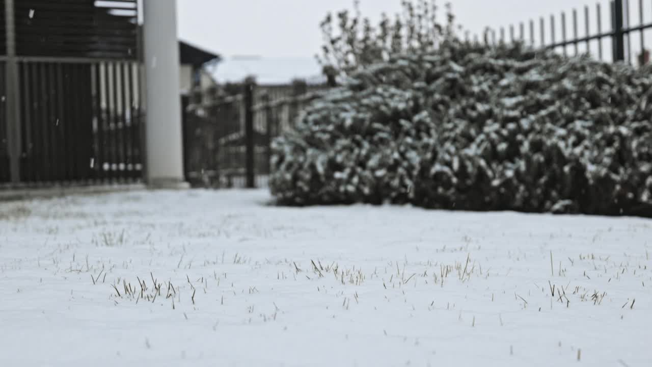 后院被雪覆盖视频素材