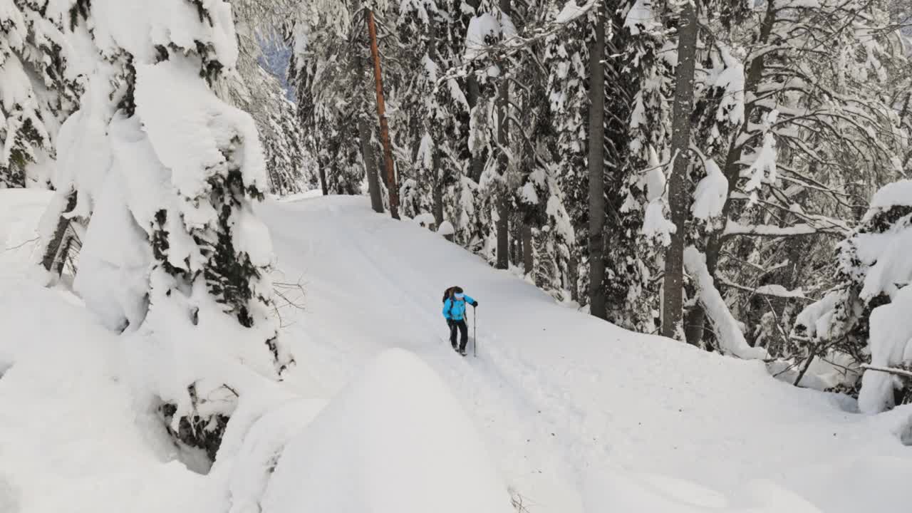 徒步旅行者走过冰冻的冬季森林在雪道视频素材