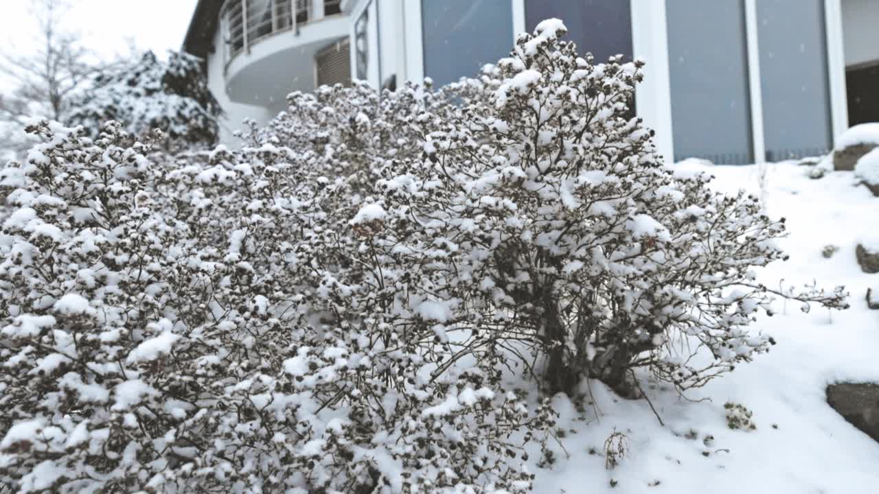 在一个阴沉的下雪天的后院视频素材