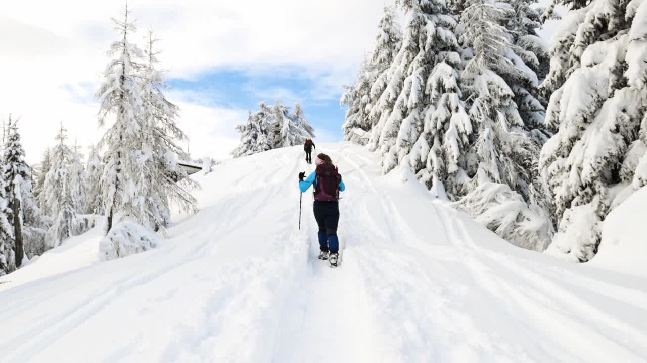 徒步者拄着登山杖在雪山上行走视频素材