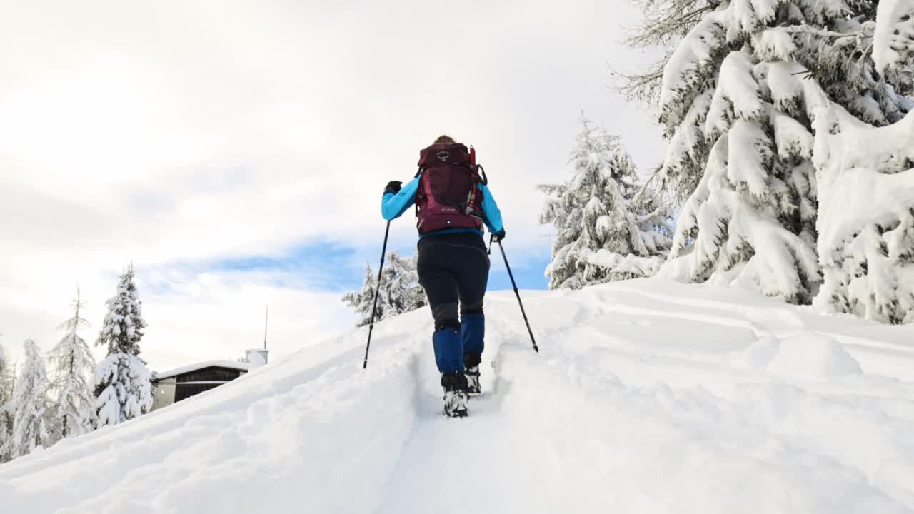 女登山运动员在雪山上行走的背影视频素材