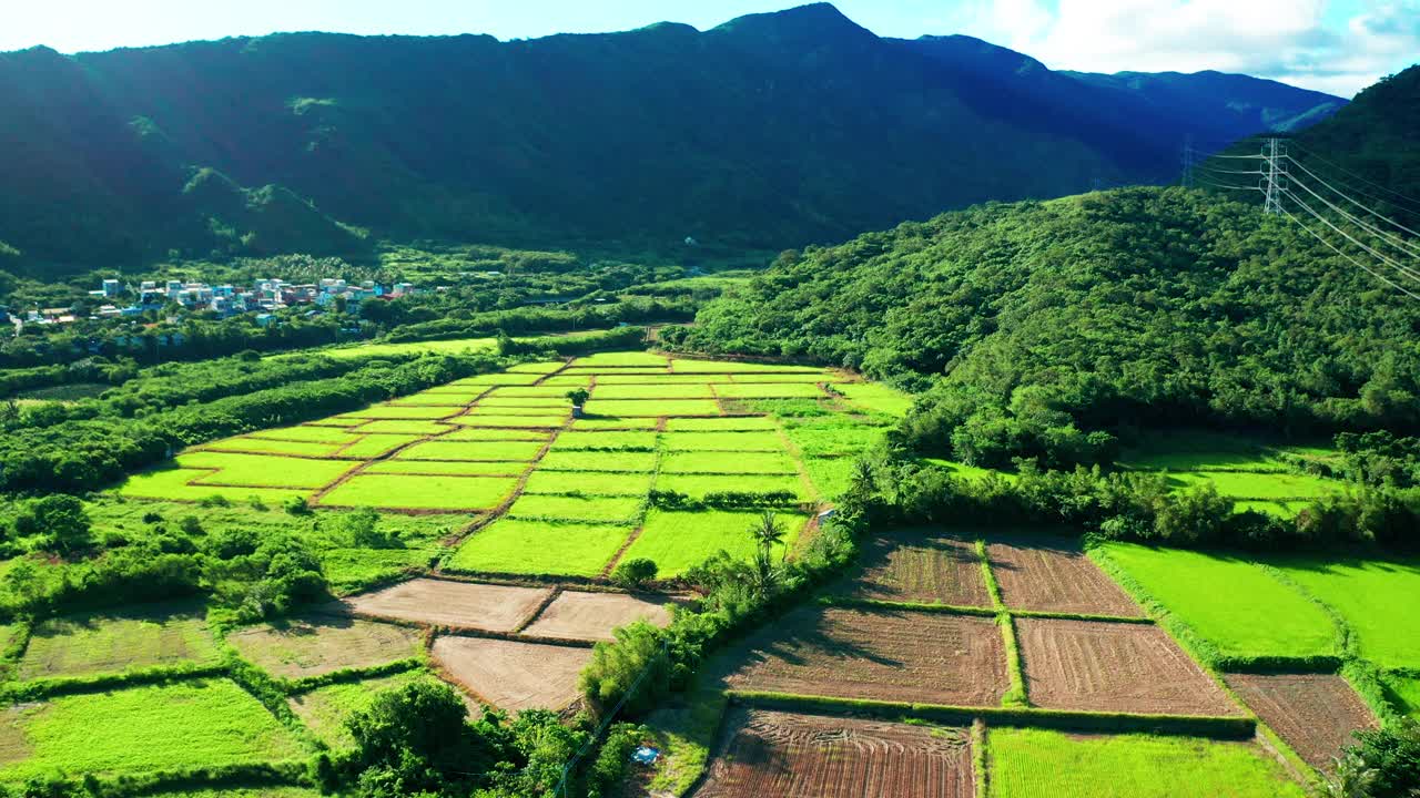 台湾屏东草地和农田鸟瞰图。视频素材