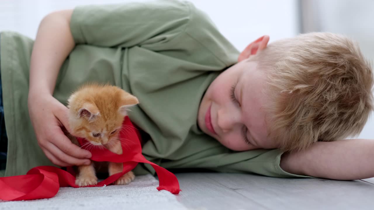 小男孩在家里的地板上玩姜小猫红丝带。孩子和动物的友谊，朋友和照顾猫视频素材