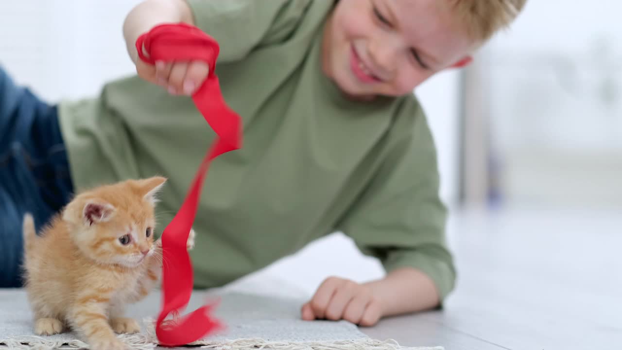 小男孩在家里的地板上玩姜小猫红丝带。孩子和动物的友谊，朋友和照顾猫视频素材