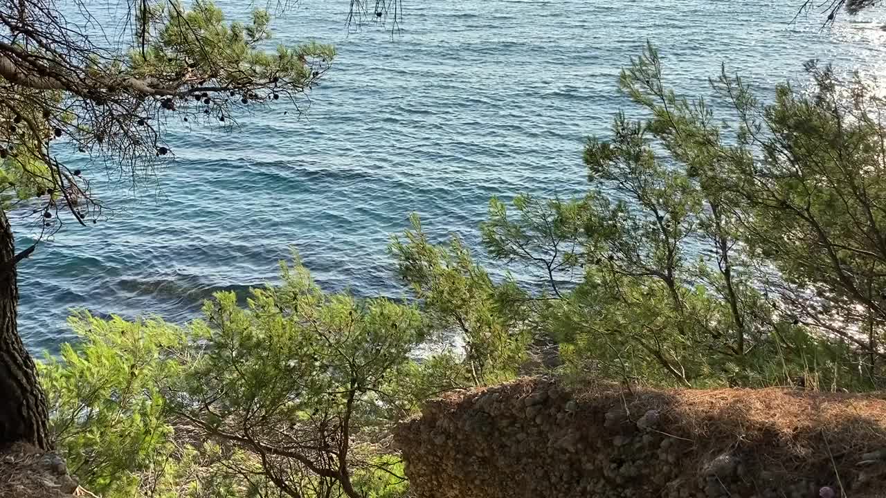 森林里的松树在蓝色的大海，田园般的地中海夏季景观。海浪。海岸上的针叶树。放松，宁静，宁静，美丽的自然。视频素材