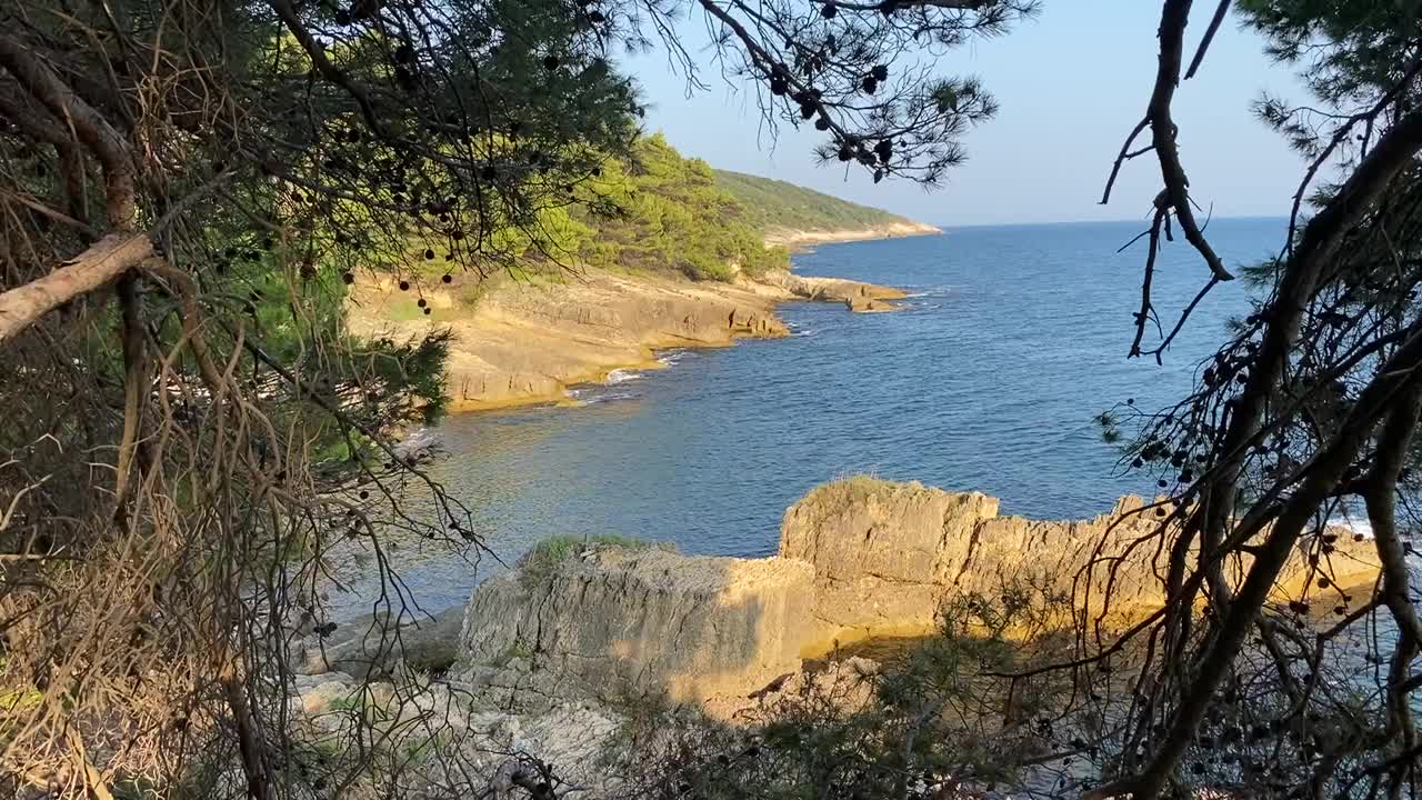 森林里的松树在蓝色的大海，田园般的地中海夏季景观。海浪。海岸上的针叶树。放松，宁静，宁静，美丽的自然。视频素材