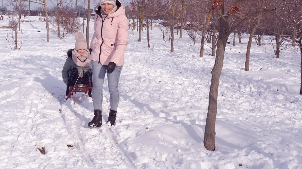 雪橇在路上玩得很开心。视频素材