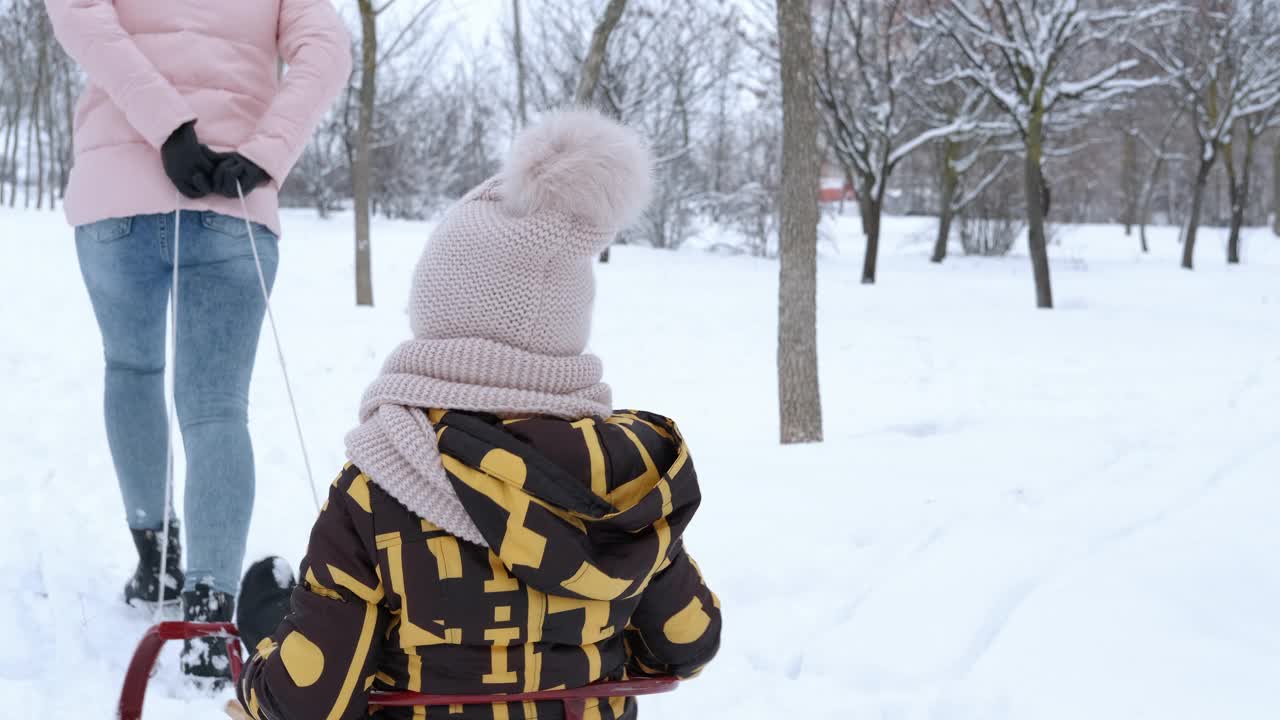 一家人在雪地里坐着雪橇。视频素材