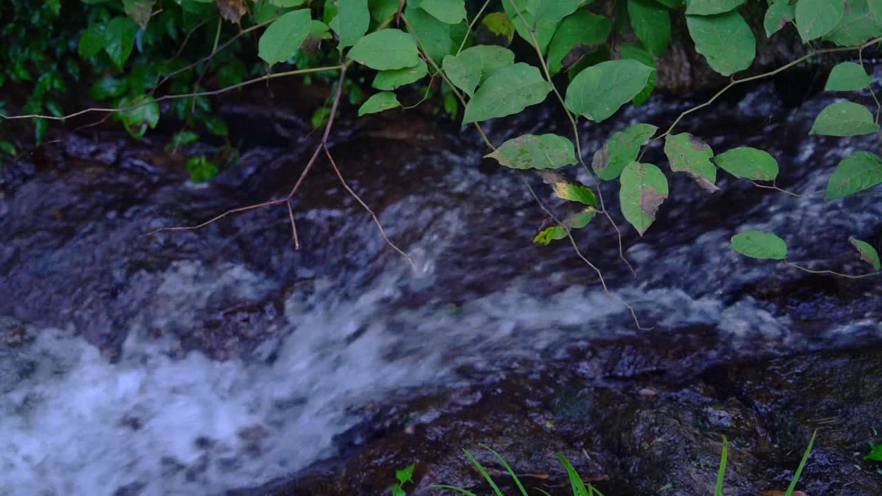 高山流水视频素材