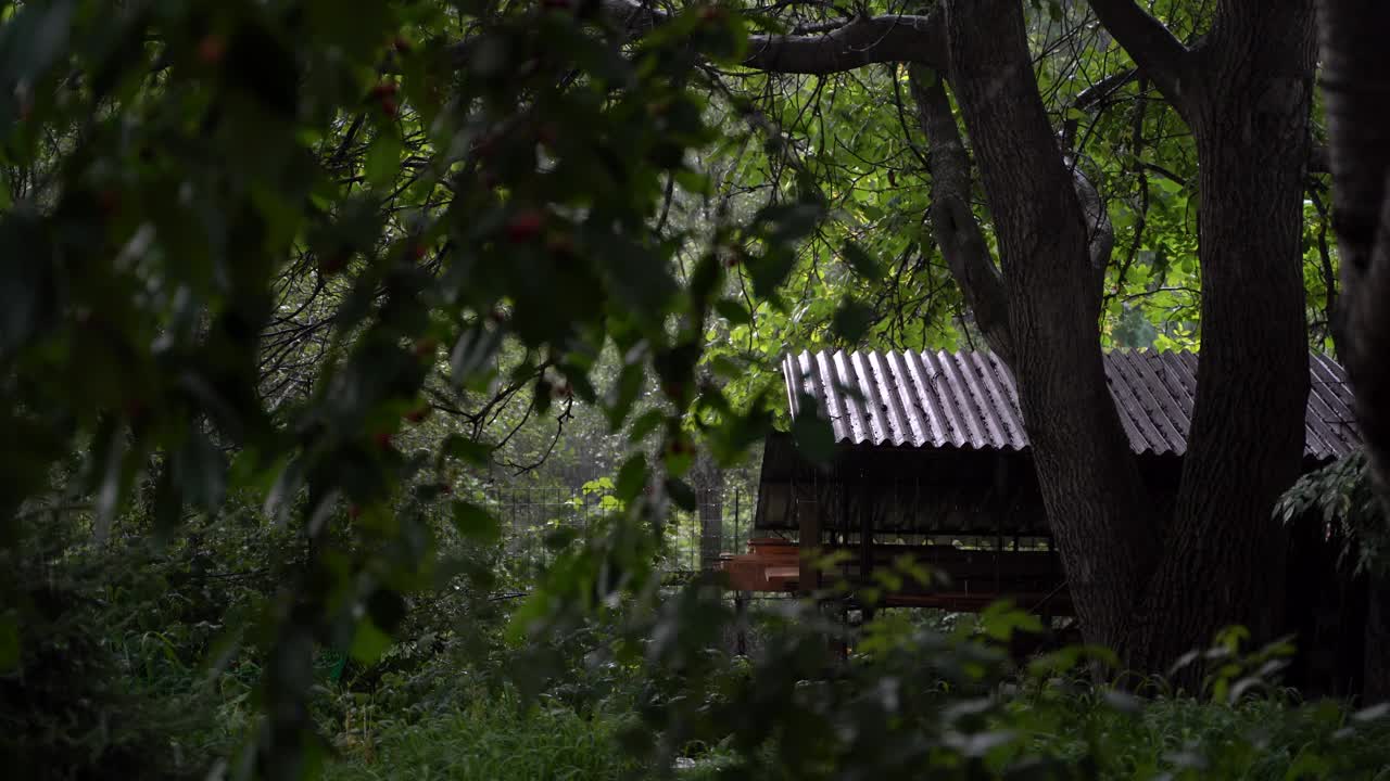 夏天花园里下雨。雨点落在绿树下的屋顶上。视频素材