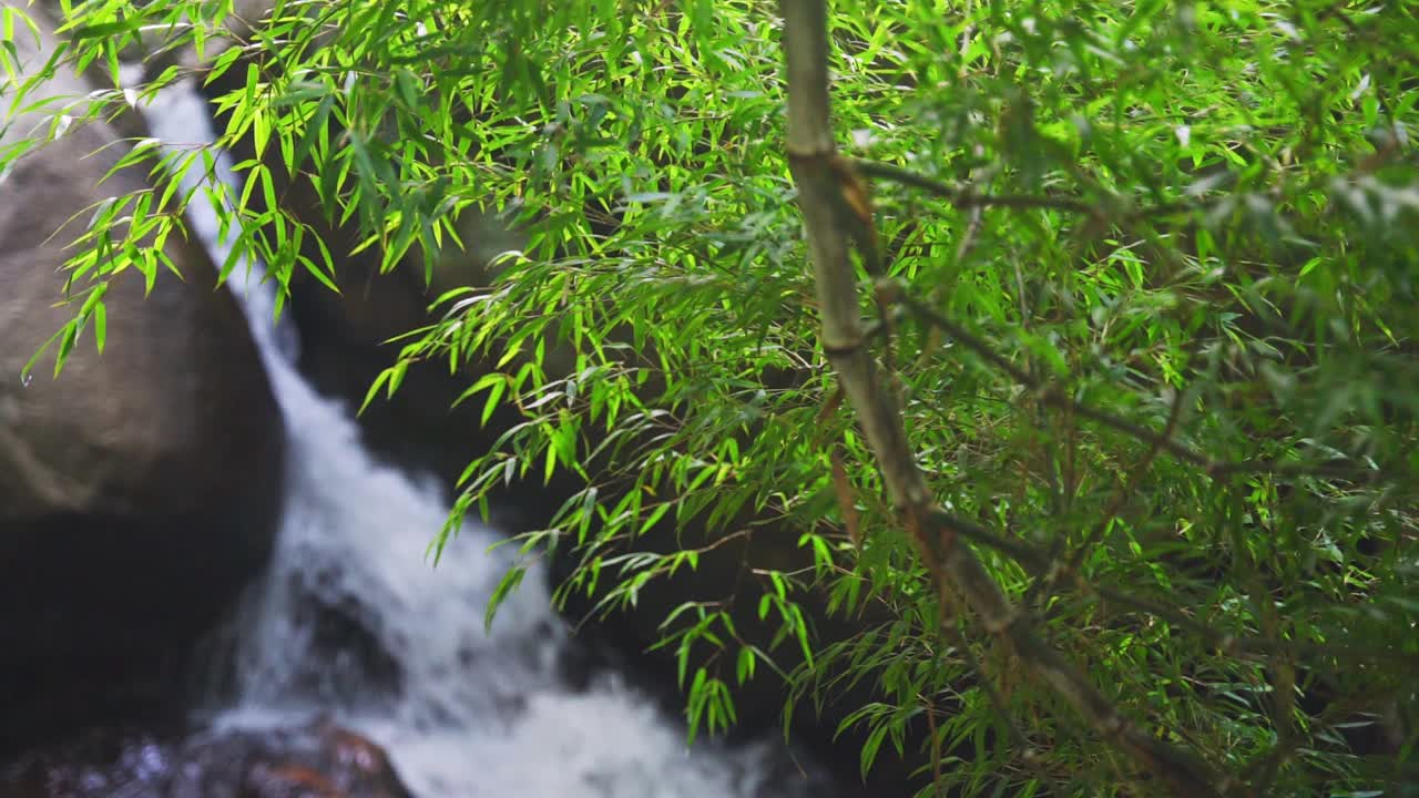 高山流水视频素材